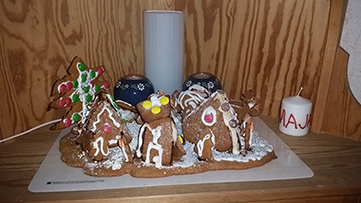 Pepparkakshus 2015